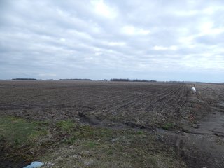 Property photo 9 - MAJOR LAND AUCTION - 313+/- ACRES OFFERED IN 7 TRACTS IN IROQUOIS COUNTY, ILLINOIS