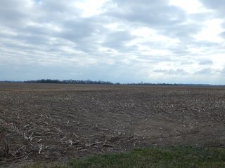 Property photo 4 - MAJOR LAND AUCTION - 313+/- ACRES OFFERED IN 7 TRACTS IN IROQUOIS COUNTY, ILLINOIS