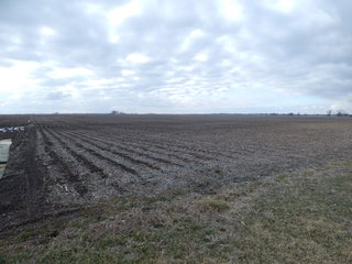 Property photo 3 - MAJOR LAND AUCTION - 313+/- ACRES OFFERED IN 7 TRACTS IN IROQUOIS COUNTY, ILLINOIS