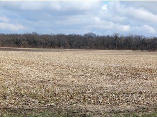 Property photo 1 - MAJOR LAND AUCTION - 313+/- ACRES OFFERED IN 7 TRACTS IN IROQUOIS COUNTY, ILLINOIS