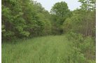 Van Buren County, Michigan farmland - LAND AUCTION - 194+/- ACRES OFFERED IN 5 TRACTS IN VAN BUREN COUNTY, MICHIGAN