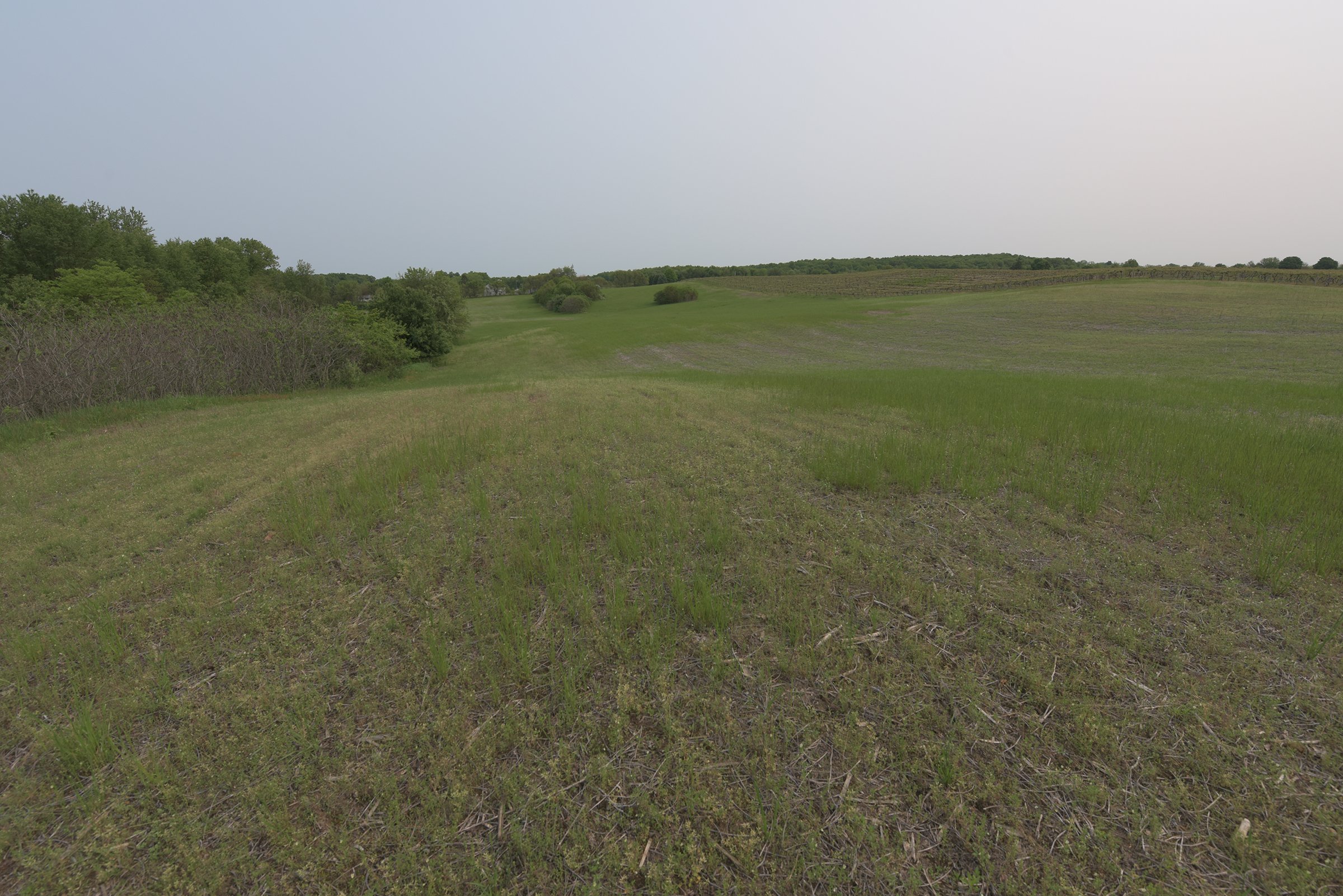 Van Buren County, Michigan farmland - LAND AUCTION - 194+/- ACRES OFFERED IN 5 TRACTS IN VAN BUREN COUNTY, MICHIGAN