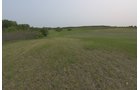 Van Buren County, Michigan farmland - LAND AUCTION - 194+/- ACRES OFFERED IN 5 TRACTS IN VAN BUREN COUNTY, MICHIGAN