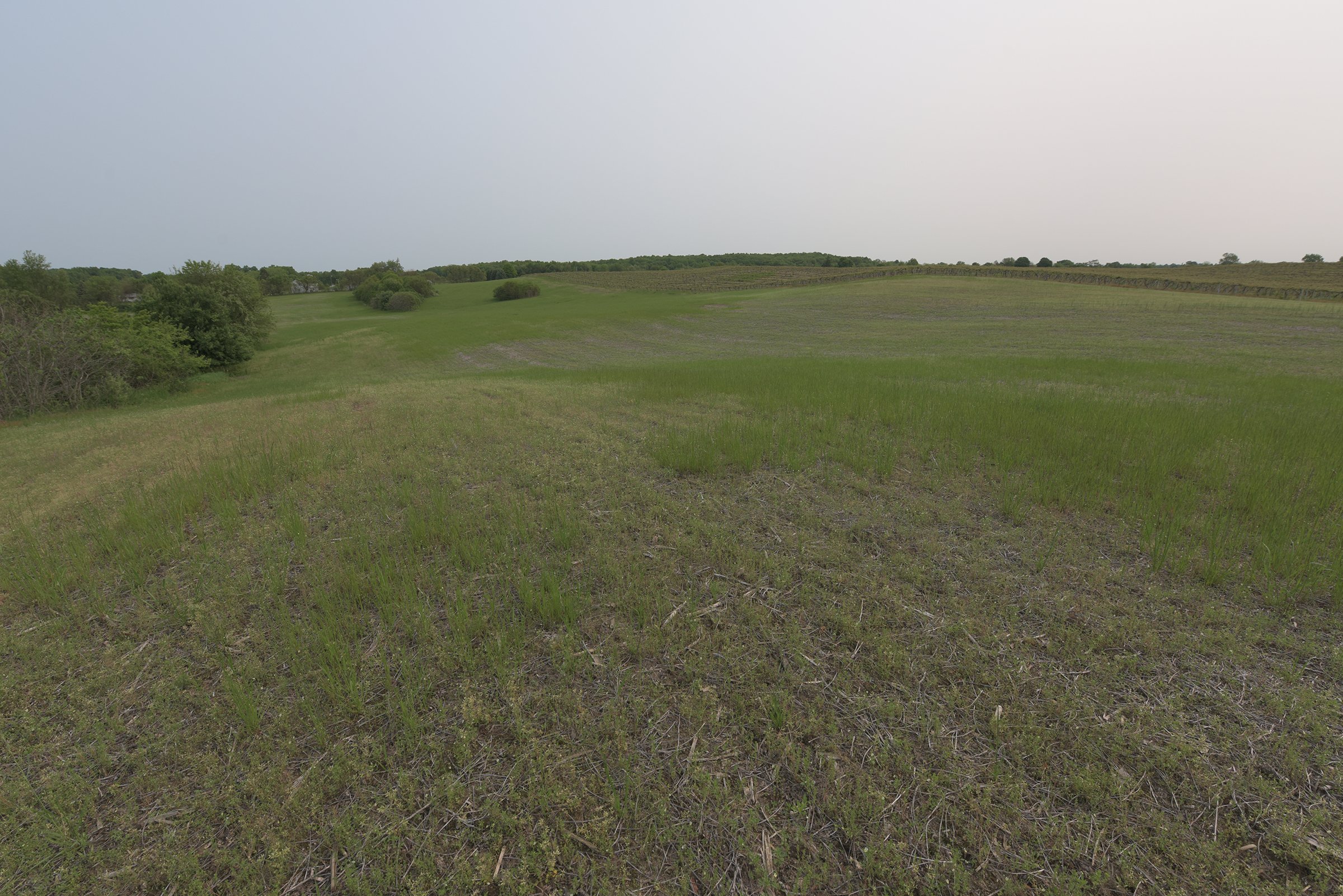 Van Buren County, Michigan farmland - LAND AUCTION - 194+/- ACRES OFFERED IN 5 TRACTS IN VAN BUREN COUNTY, MICHIGAN