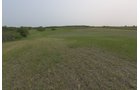 Van Buren County, Michigan farmland - LAND AUCTION - 194+/- ACRES OFFERED IN 5 TRACTS IN VAN BUREN COUNTY, MICHIGAN