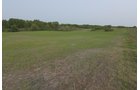 Concord Grapes in Van Buren County, Michigan farmland - LAND AUCTION - 194+/- ACRES OFFERED IN 5 TRACTS IN VAN BUREN COUNTY, MICHIGAN