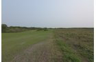 Concord Grapes in Van Buren County, Michigan farmland - LAND AUCTION - 194+/- ACRES OFFERED IN 5 TRACTS IN VAN BUREN COUNTY, MICHIGAN