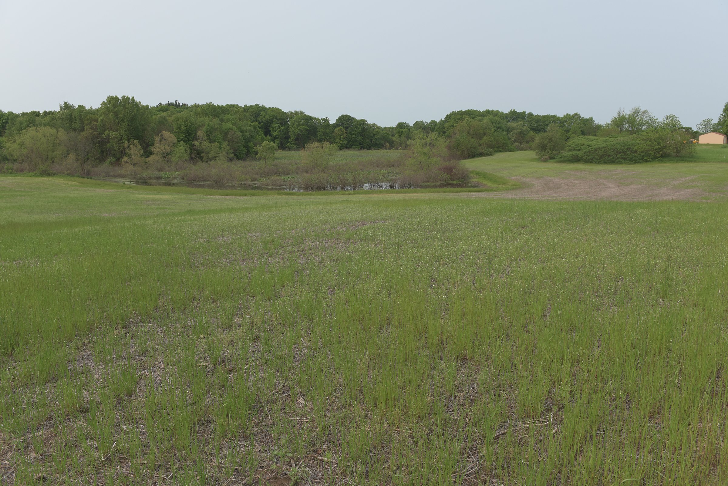 Van Buren County, Michigan farmland - LAND AUCTION - 194+/- ACRES OFFERED IN 5 TRACTS IN VAN BUREN COUNTY, MICHIGAN
