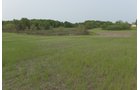 Van Buren County, Michigan farmland - LAND AUCTION - 194+/- ACRES OFFERED IN 5 TRACTS IN VAN BUREN COUNTY, MICHIGAN