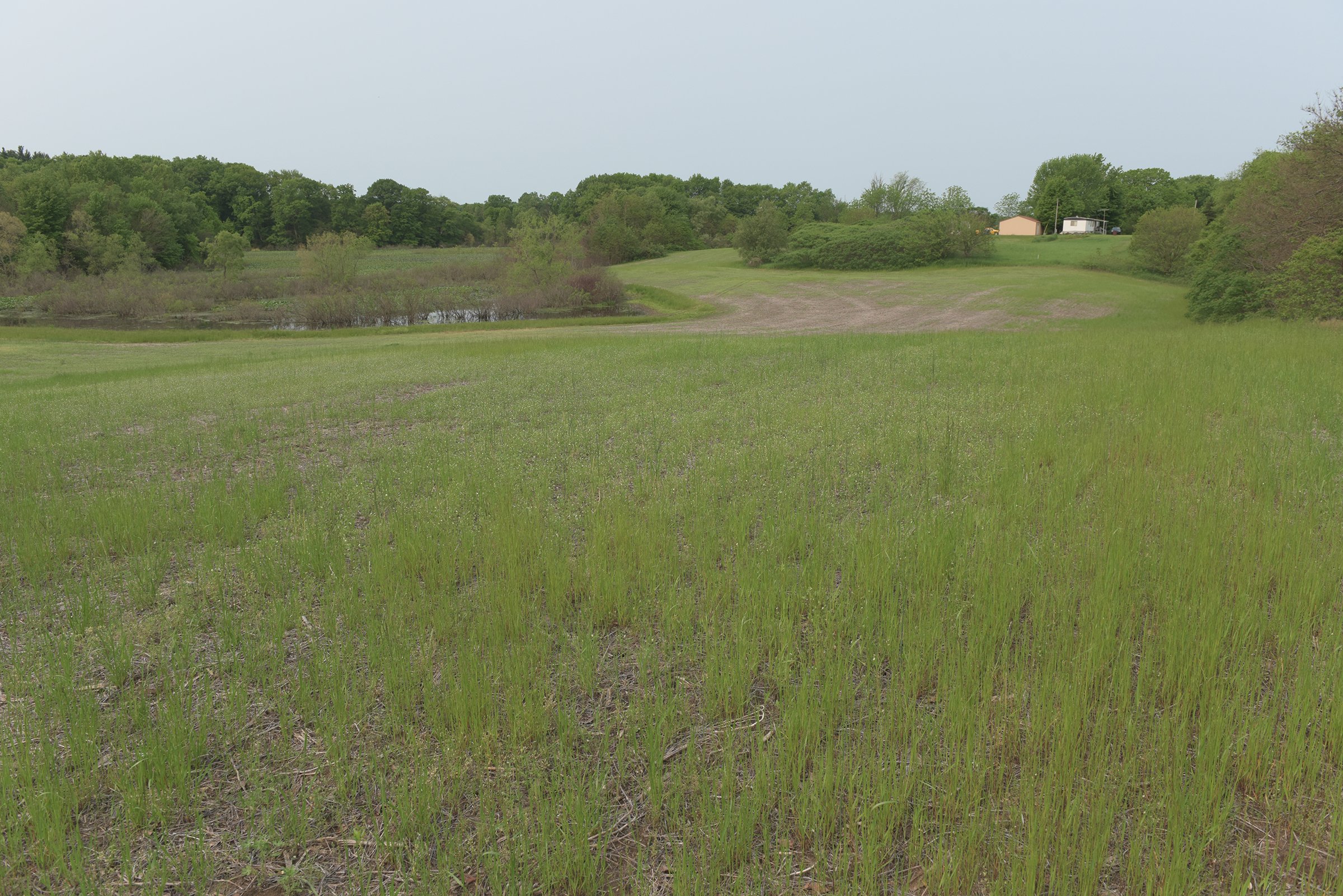 Van Buren County, Michigan farmland - LAND AUCTION - 194+/- ACRES OFFERED IN 5 TRACTS IN VAN BUREN COUNTY, MICHIGAN