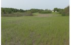 Van Buren County, Michigan farmland - LAND AUCTION - 194+/- ACRES OFFERED IN 5 TRACTS IN VAN BUREN COUNTY, MICHIGAN