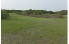 Van Buren County, Michigan farmland - LAND AUCTION - 194+/- ACRES OFFERED IN 5 TRACTS IN VAN BUREN COUNTY, MICHIGAN