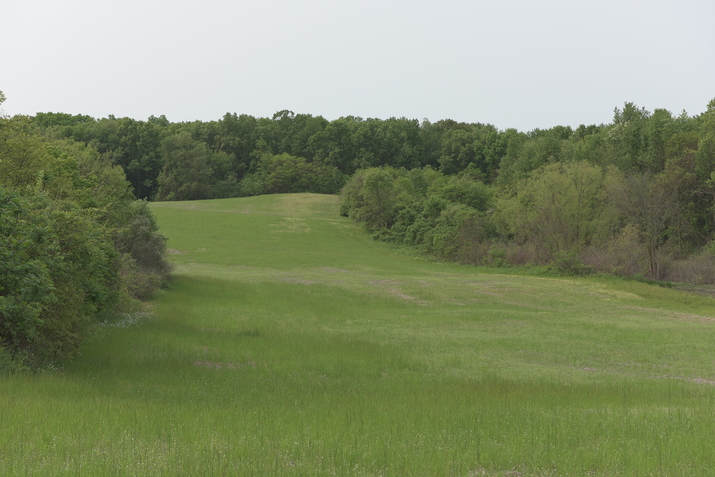 Van Buren County, Michigan farmland - LAND AUCTION - 194+/- ACRES OFFERED IN 5 TRACTS IN VAN BUREN COUNTY, MICHIGAN