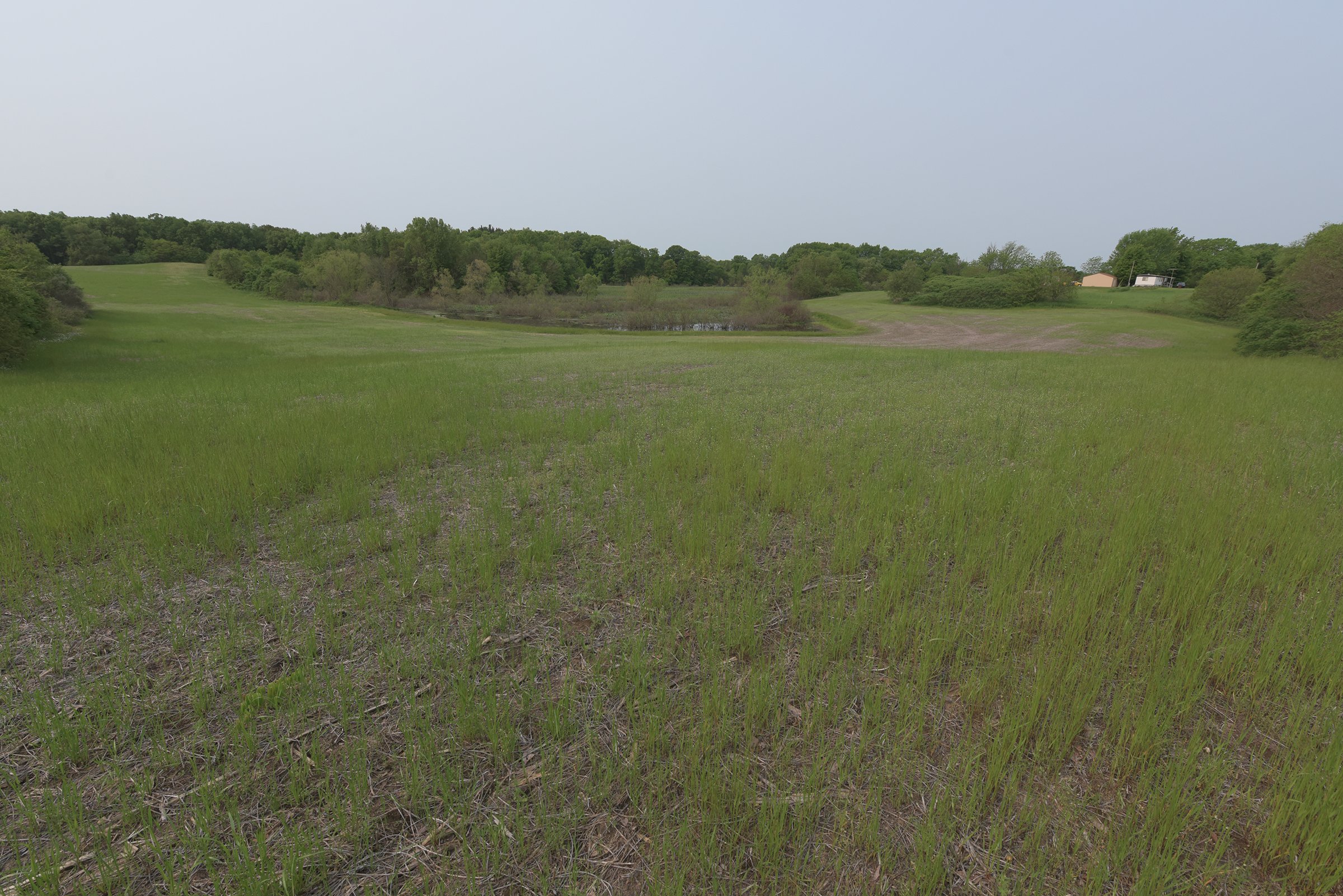 Van Buren County, Michigan farmland - LAND AUCTION - 194+/- ACRES OFFERED IN 5 TRACTS IN VAN BUREN COUNTY, MICHIGAN