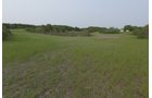 Van Buren County, Michigan farmland - LAND AUCTION - 194+/- ACRES OFFERED IN 5 TRACTS IN VAN BUREN COUNTY, MICHIGAN