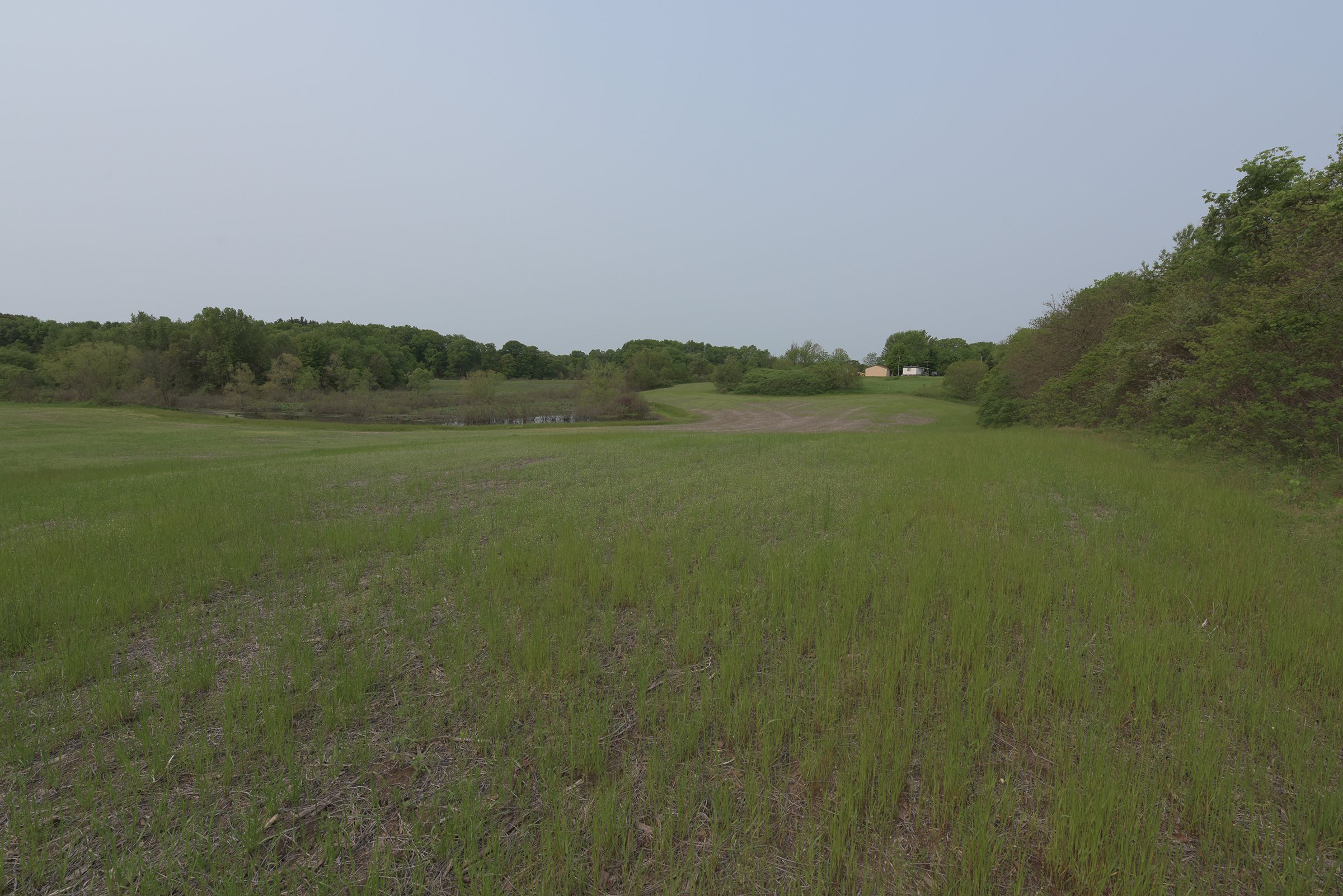 Van Buren County, Michigan farmland - LAND AUCTION - 194+/- ACRES OFFERED IN 5 TRACTS IN VAN BUREN COUNTY, MICHIGAN