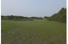 Van Buren County, Michigan farmland - LAND AUCTION - 194+/- ACRES OFFERED IN 5 TRACTS IN VAN BUREN COUNTY, MICHIGAN