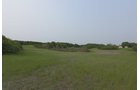 Van Buren County, Michigan farmland - LAND AUCTION - 194+/- ACRES OFFERED IN 5 TRACTS IN VAN BUREN COUNTY, MICHIGAN