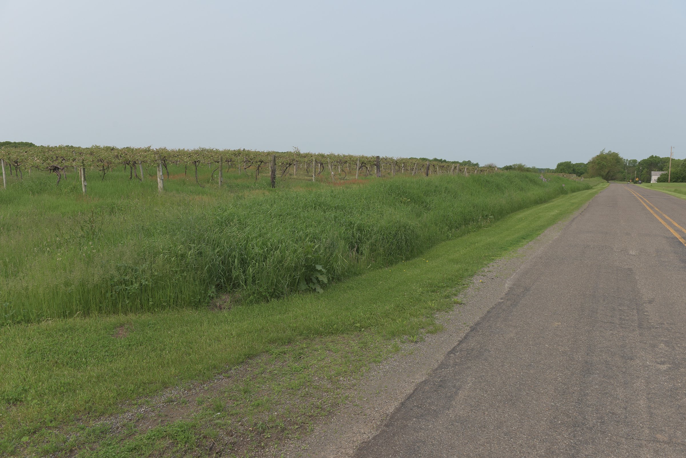 Van Buren County, Michigan farmland - LAND AUCTION - 194+/- ACRES OFFERED IN 5 TRACTS IN VAN BUREN COUNTY, MICHIGAN