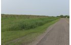 Van Buren County, Michigan farmland - LAND AUCTION - 194+/- ACRES OFFERED IN 5 TRACTS IN VAN BUREN COUNTY, MICHIGAN