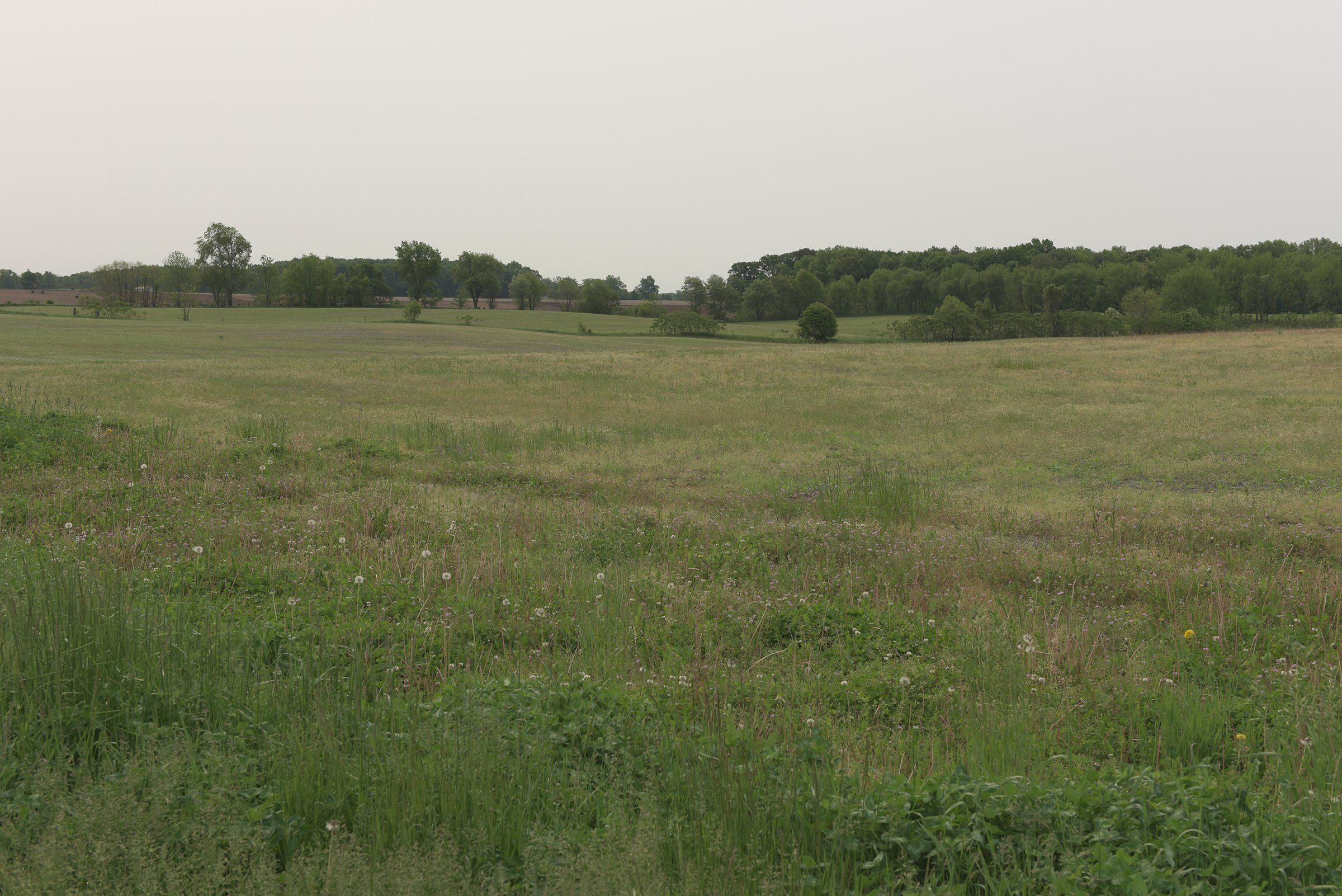 Van Buren County, Michigan farmland - LAND AUCTION - 194+/- ACRES OFFERED IN 5 TRACTS IN VAN BUREN COUNTY, MICHIGAN