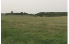 Van Buren County, Michigan farmland - LAND AUCTION - 194+/- ACRES OFFERED IN 5 TRACTS IN VAN BUREN COUNTY, MICHIGAN