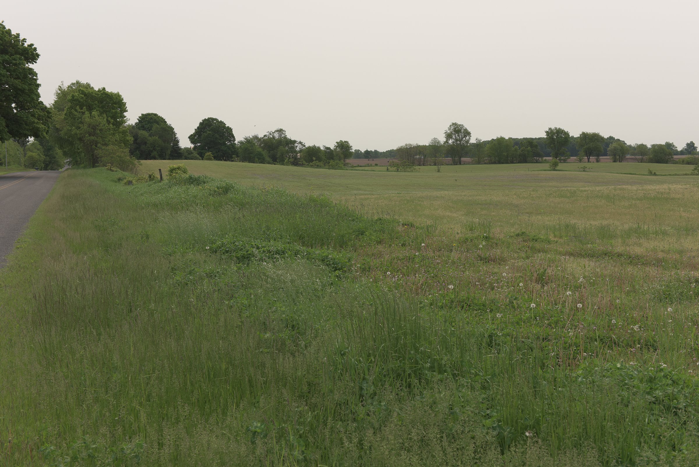 Van Buren County, Michigan farmland - LAND AUCTION - 194+/- ACRES OFFERED IN 5 TRACTS IN VAN BUREN COUNTY, MICHIGAN