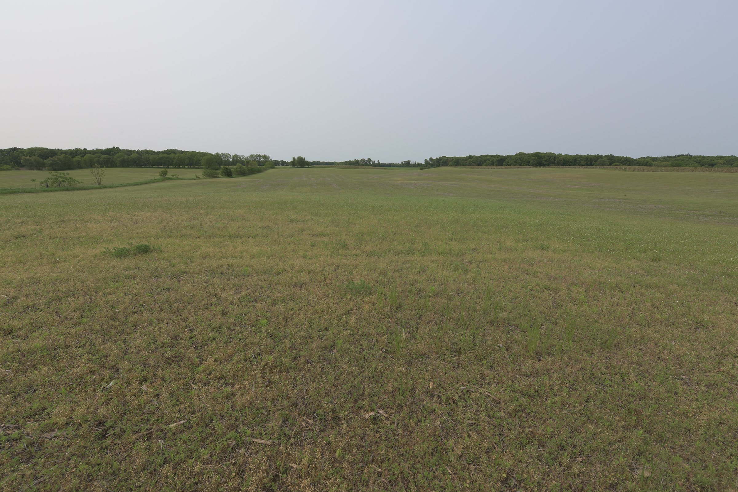 Van Buren County, Michigan farmland - LAND AUCTION - 194+/- ACRES OFFERED IN 5 TRACTS IN VAN BUREN COUNTY, MICHIGAN