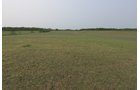 Van Buren County, Michigan farmland - LAND AUCTION - 194+/- ACRES OFFERED IN 5 TRACTS IN VAN BUREN COUNTY, MICHIGAN