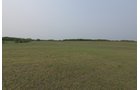 Van Buren County, Michigan farmland - LAND AUCTION - 194+/- ACRES OFFERED IN 5 TRACTS IN VAN BUREN COUNTY, MICHIGAN