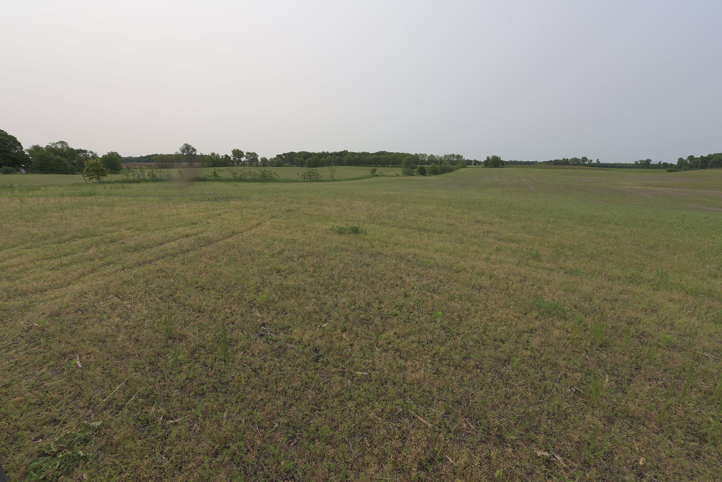 Van Buren County, Michigan farmland - LAND AUCTION - 194+/- ACRES OFFERED IN 5 TRACTS IN VAN BUREN COUNTY, MICHIGAN
