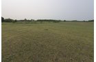 Van Buren County, Michigan farmland - LAND AUCTION - 194+/- ACRES OFFERED IN 5 TRACTS IN VAN BUREN COUNTY, MICHIGAN