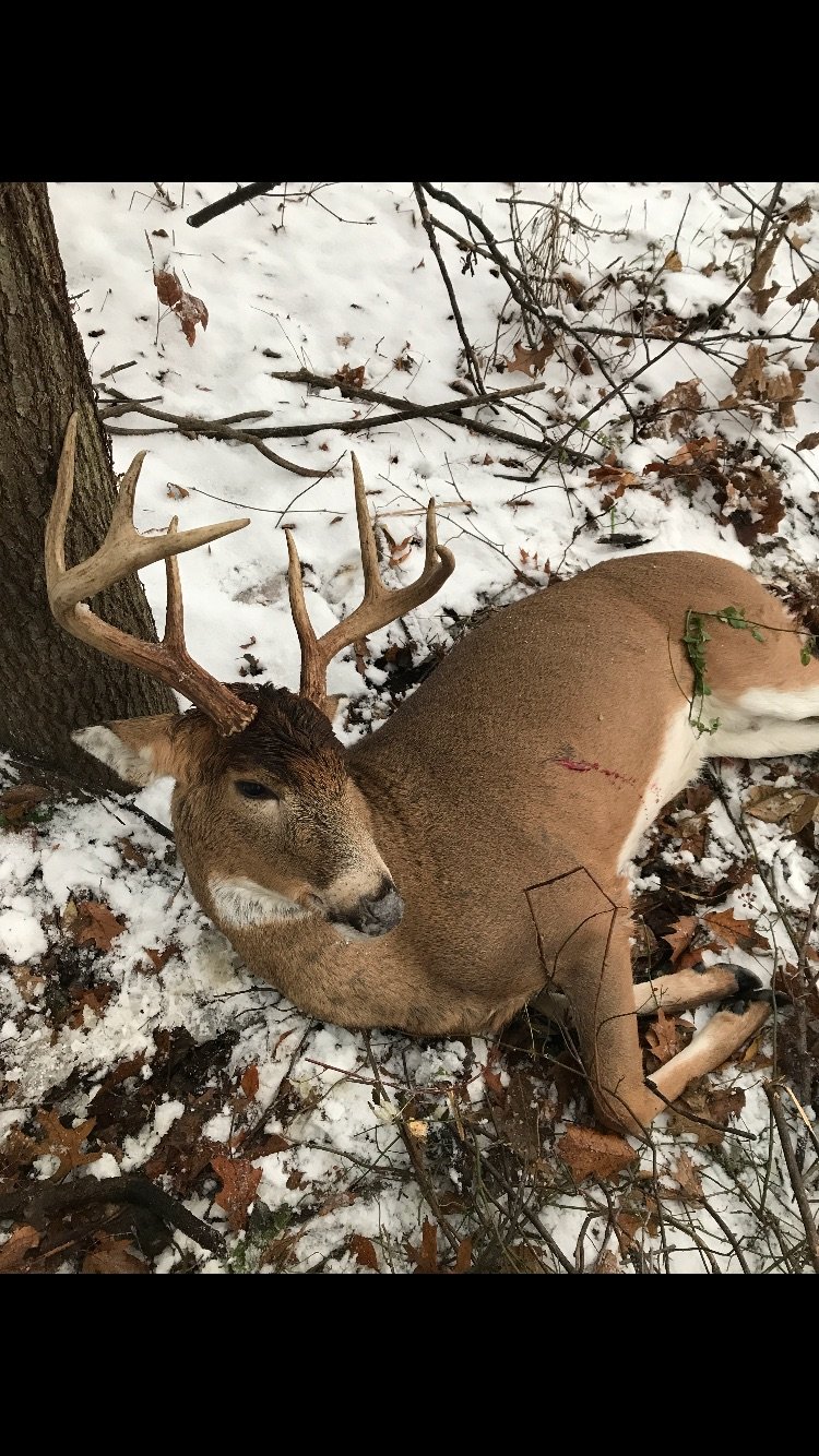 Harvested in 2017 - Family Only Hunting - LAND AUCTION - 194+/- ACRES OFFERED IN 5 TRACTS IN VAN BUREN COUNTY, MICHIGAN