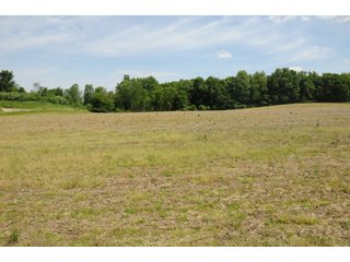 Noble County, Indiana farmland - REAL ESTATE AUCTION - 70+/- ACRES OFFERED IN 3 TRACTS IN NOBLE COUNTY, INDIANA