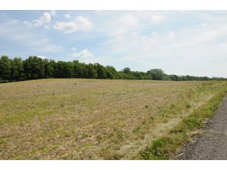 Noble County, Indiana farmland - REAL ESTATE AUCTION - 70+/- ACRES OFFERED IN 3 TRACTS IN NOBLE COUNTY, INDIANA