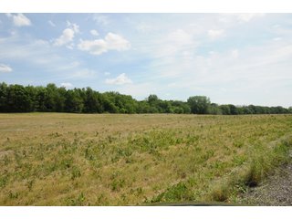 Noble County, Indiana farmland - REAL ESTATE AUCTION - 70+/- ACRES OFFERED IN 3 TRACTS IN NOBLE COUNTY, INDIANA