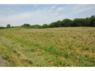 Noble County, Indiana farmland - REAL ESTATE AUCTION - 70+/- ACRES OFFERED IN 3 TRACTS IN NOBLE COUNTY, INDIANA