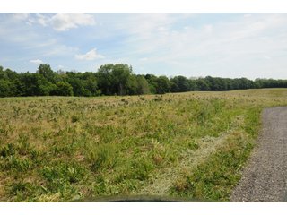 Noble County, Indiana farmland - REAL ESTATE AUCTION - 70+/- ACRES OFFERED IN 3 TRACTS IN NOBLE COUNTY, INDIANA