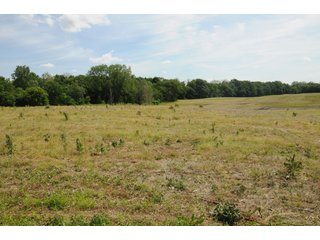 Noble County, Indiana farmland - REAL ESTATE AUCTION - 70+/- ACRES OFFERED IN 3 TRACTS IN NOBLE COUNTY, INDIANA