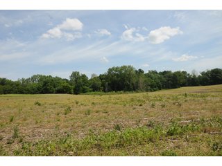 Noble County, Indiana farmland - REAL ESTATE AUCTION - 70+/- ACRES OFFERED IN 3 TRACTS IN NOBLE COUNTY, INDIANA