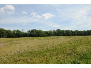 Noble County, Indiana farmland - REAL ESTATE AUCTION - 70+/- ACRES OFFERED IN 3 TRACTS IN NOBLE COUNTY, INDIANA