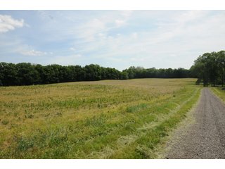 Noble County, Indiana farmland - REAL ESTATE AUCTION - 70+/- ACRES OFFERED IN 3 TRACTS IN NOBLE COUNTY, INDIANA