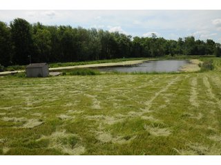 Pond on a farm in Noble County, Indiana - REAL ESTATE AUCTION - 70+/- ACRES OFFERED IN 3 TRACTS IN NOBLE COUNTY, INDIANA