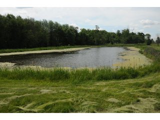 Pond on a farm in Noble County, Indiana - REAL ESTATE AUCTION - 70+/- ACRES OFFERED IN 3 TRACTS IN NOBLE COUNTY, INDIANA