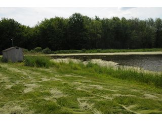 Noble County, Indiana farmland - REAL ESTATE AUCTION - 70+/- ACRES OFFERED IN 3 TRACTS IN NOBLE COUNTY, INDIANA