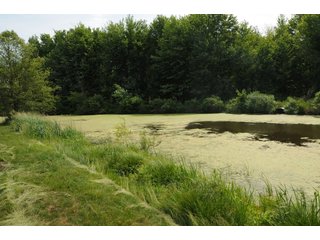 Noble County, Indiana farmland - REAL ESTATE AUCTION - 70+/- ACRES OFFERED IN 3 TRACTS IN NOBLE COUNTY, INDIANA