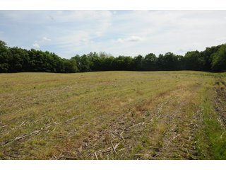 Noble County, Indiana farmland - REAL ESTATE AUCTION - 70+/- ACRES OFFERED IN 3 TRACTS IN NOBLE COUNTY, INDIANA