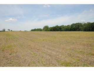 Noble County, Indiana farmland - REAL ESTATE AUCTION - 70+/- ACRES OFFERED IN 3 TRACTS IN NOBLE COUNTY, INDIANA