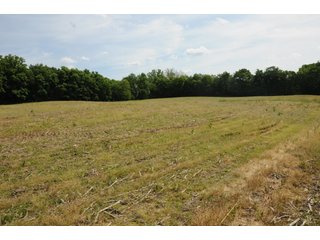 Noble County, Indiana farmland - REAL ESTATE AUCTION - 70+/- ACRES OFFERED IN 3 TRACTS IN NOBLE COUNTY, INDIANA