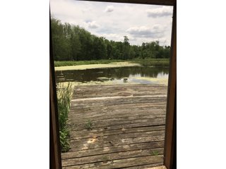 Pond on a farm in Noble County, Indiana - REAL ESTATE AUCTION - 70+/- ACRES OFFERED IN 3 TRACTS IN NOBLE COUNTY, INDIANA